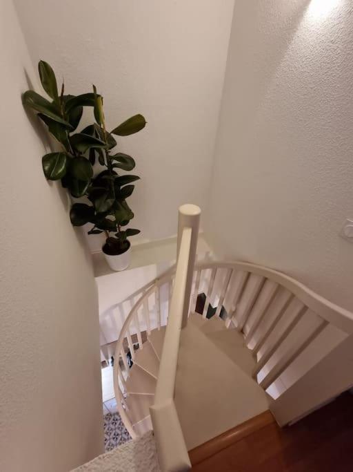 Le Dali-Duplex Au Pied De Castillet Perpignano Esterno foto